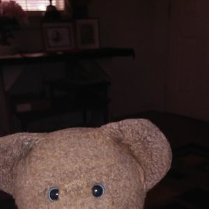 Meet your Posher, Shannon